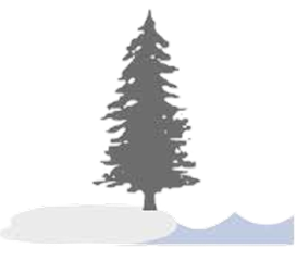 Woodland-Coast-1.png